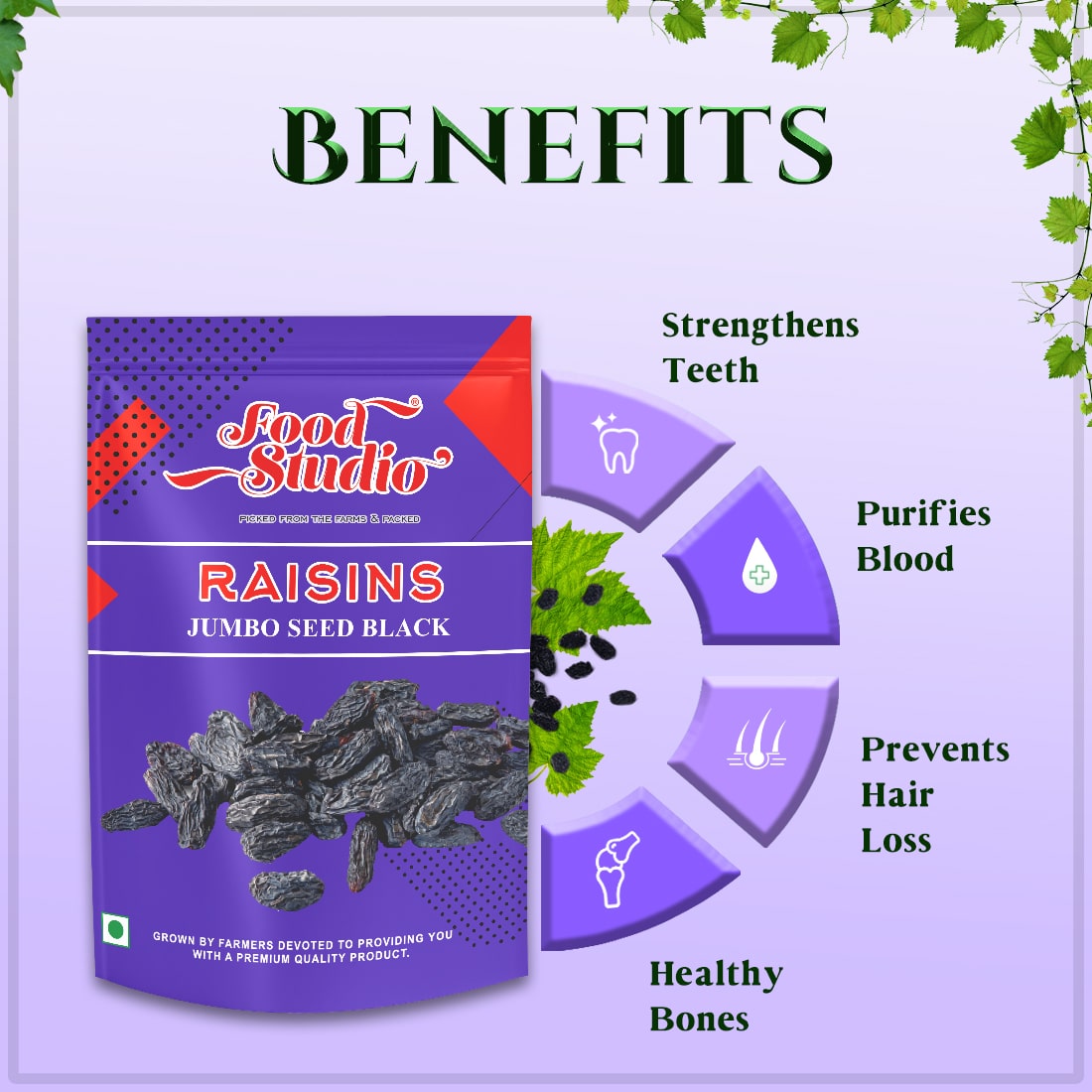 Food Studio Premium Seeded Black Raisins Purple Pouch | Dry Fruits | Kali Kishmish