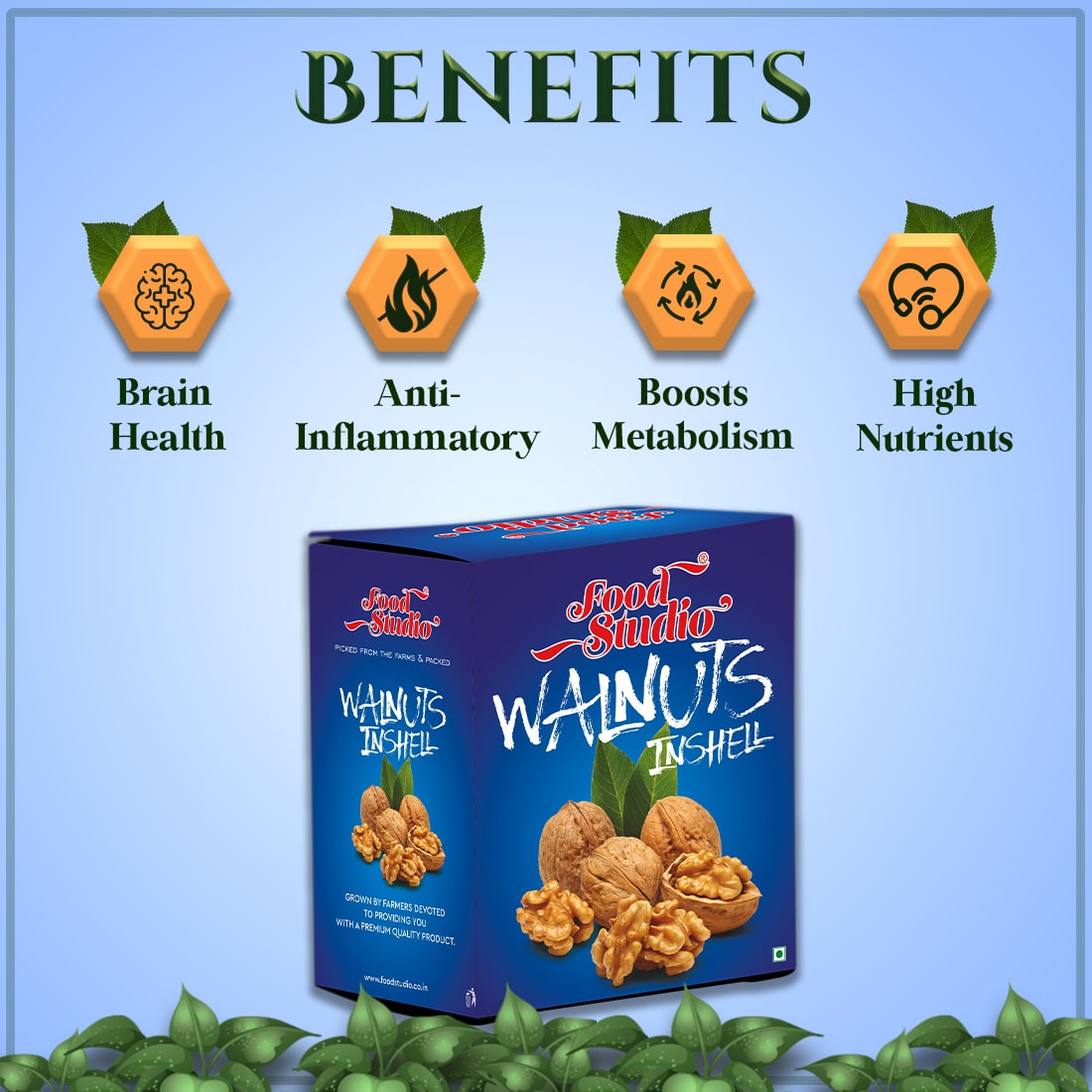 Food Studio Walnuts Inshell Blue Box | Brain food | Dry Fruits
