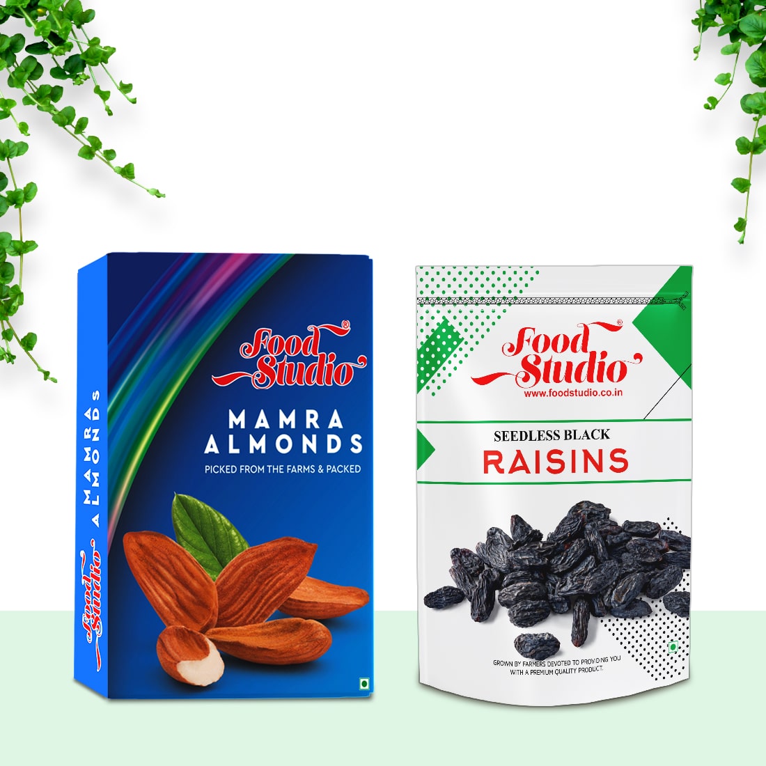 Premium Nuts & Dry Fruits Combo (Seedless Black Raisins & Mamra Almonds Blue Box 250g Each)